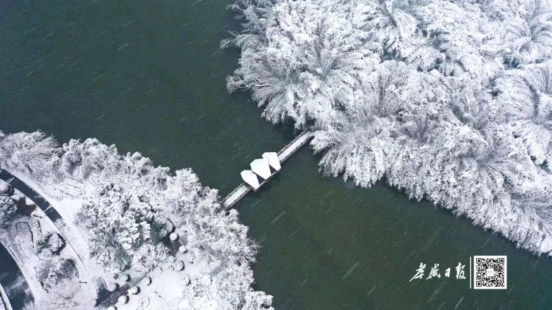 孝感雪景图片