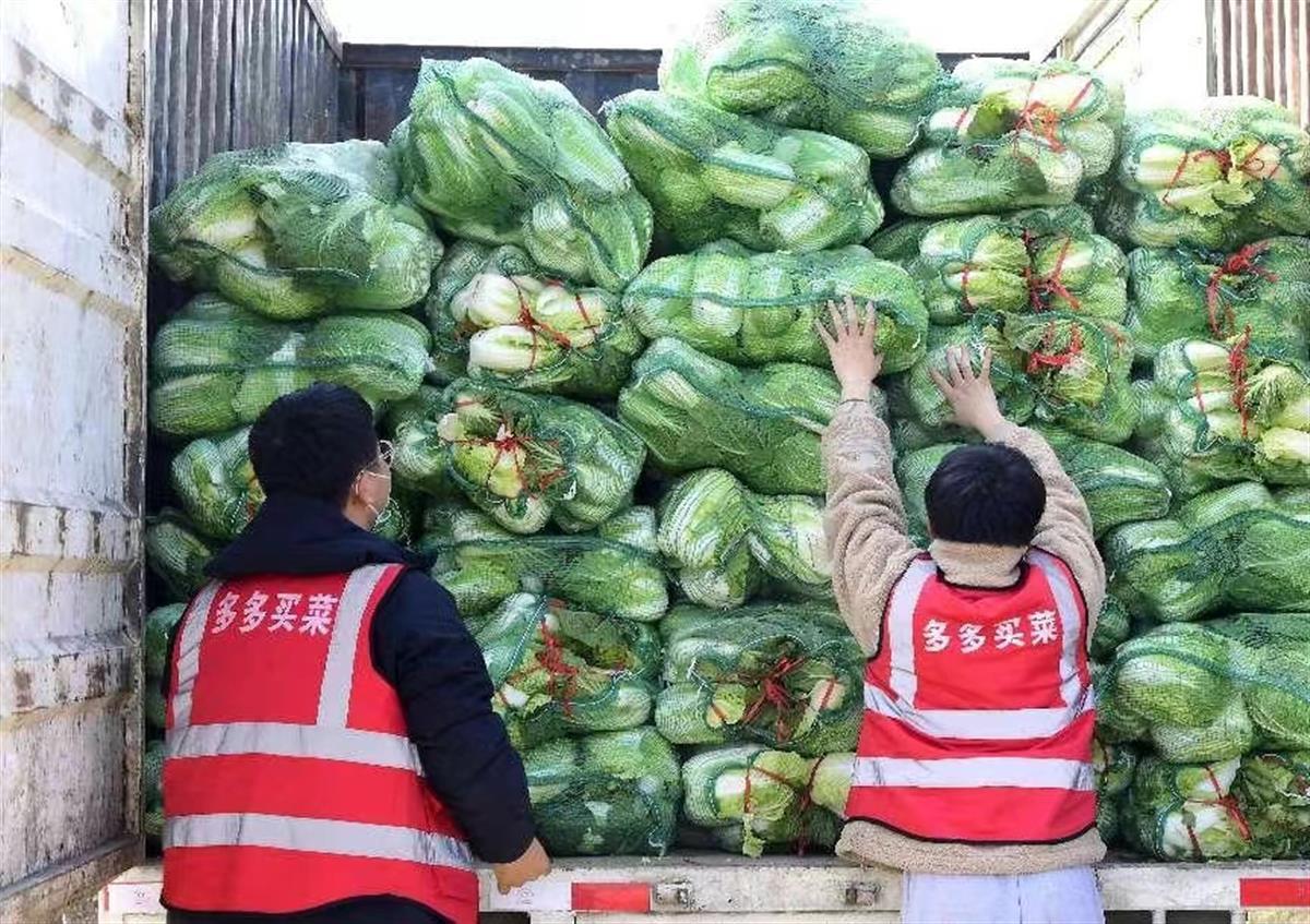 多多买菜配送车图片