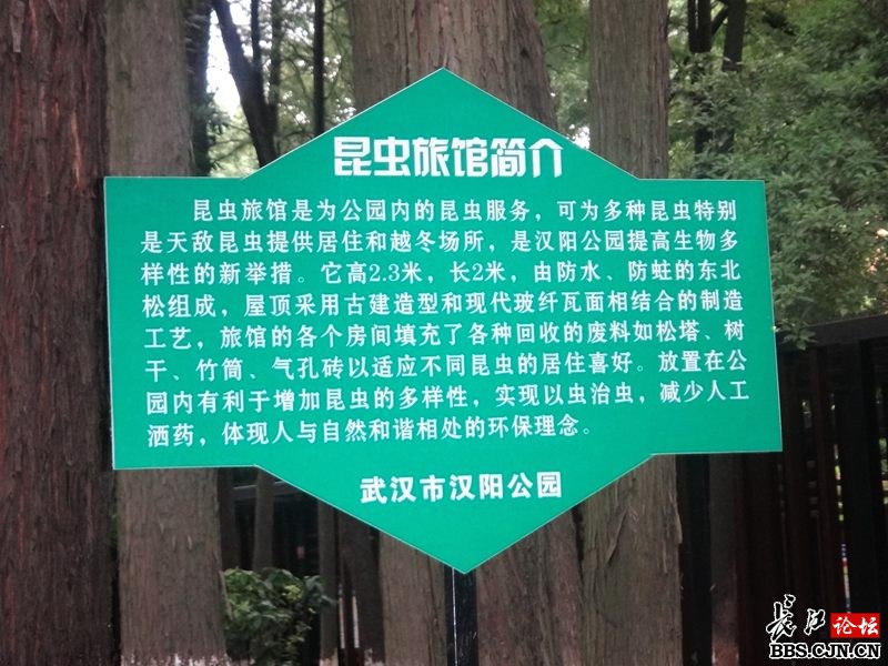 昆虫旅馆介绍图片