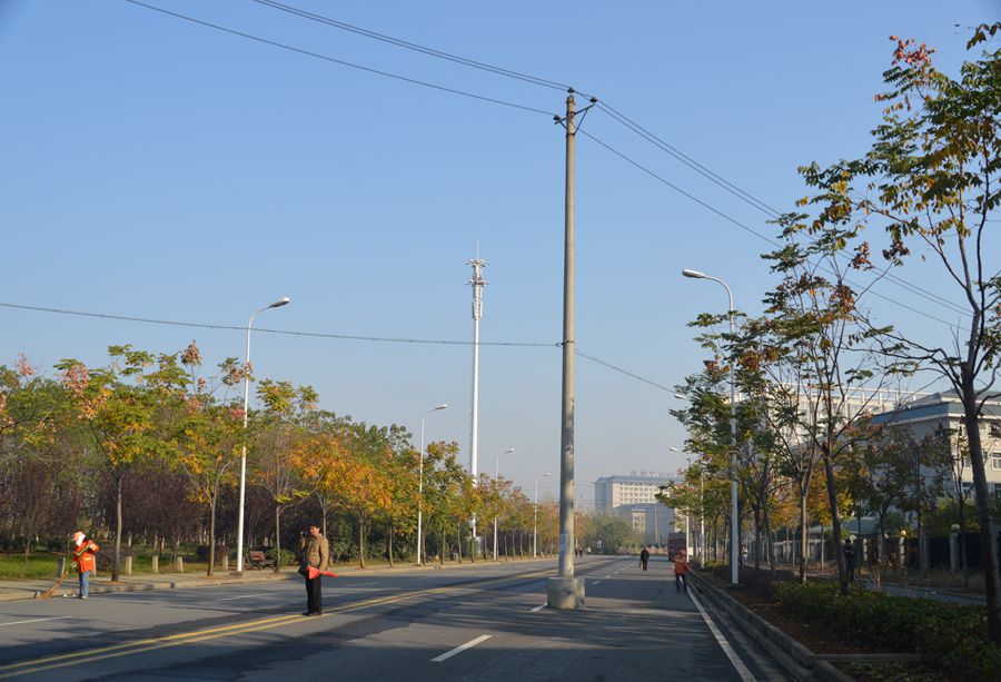 马路中间竖起电线杆市民盼整改