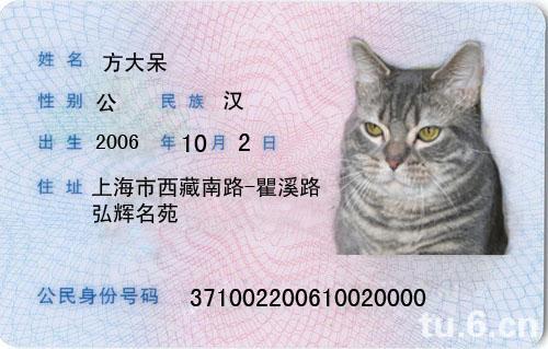 搞笑的名字身份证图片