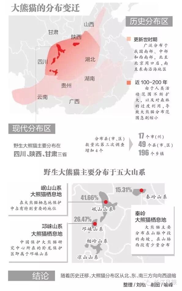 湖北曾有大量大熊猫出没现在为啥没了呢吊角楼将成新家