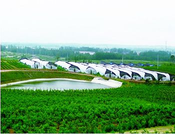 武汉市现代都市农业示范园区建设初见雏形