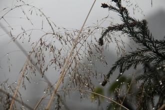 昨天晴深深今天雨蒙蒙今起3天武汉要飘毛毛雨