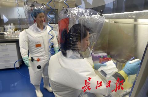 武汉p4实验室女所长图片