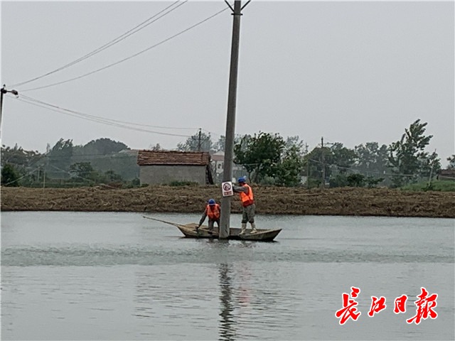 有人在高压电线下渔乐供电局提醒常用碳素鱼竿其实导电