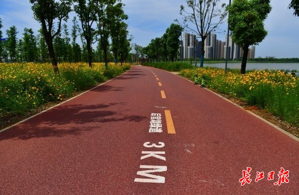 武汉盘龙城后湖绿道图片