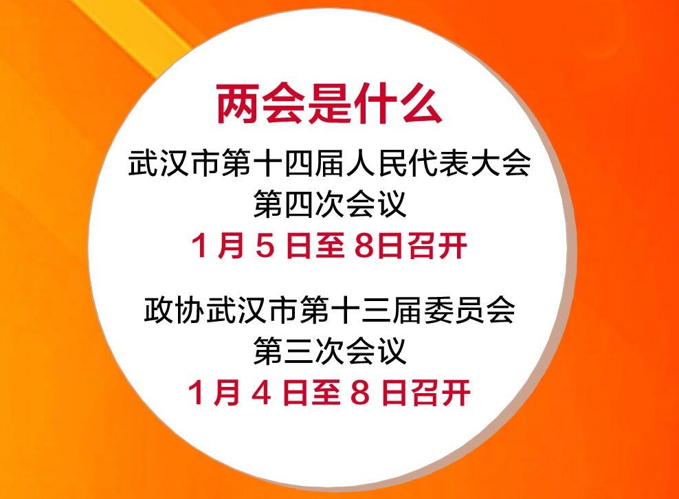 武汉两会来了,这份指南请收好!