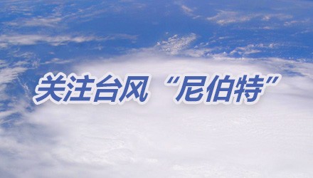 今年第1号强热带风暴尼伯特于7月5日20时加强为超强台风6日20时台风