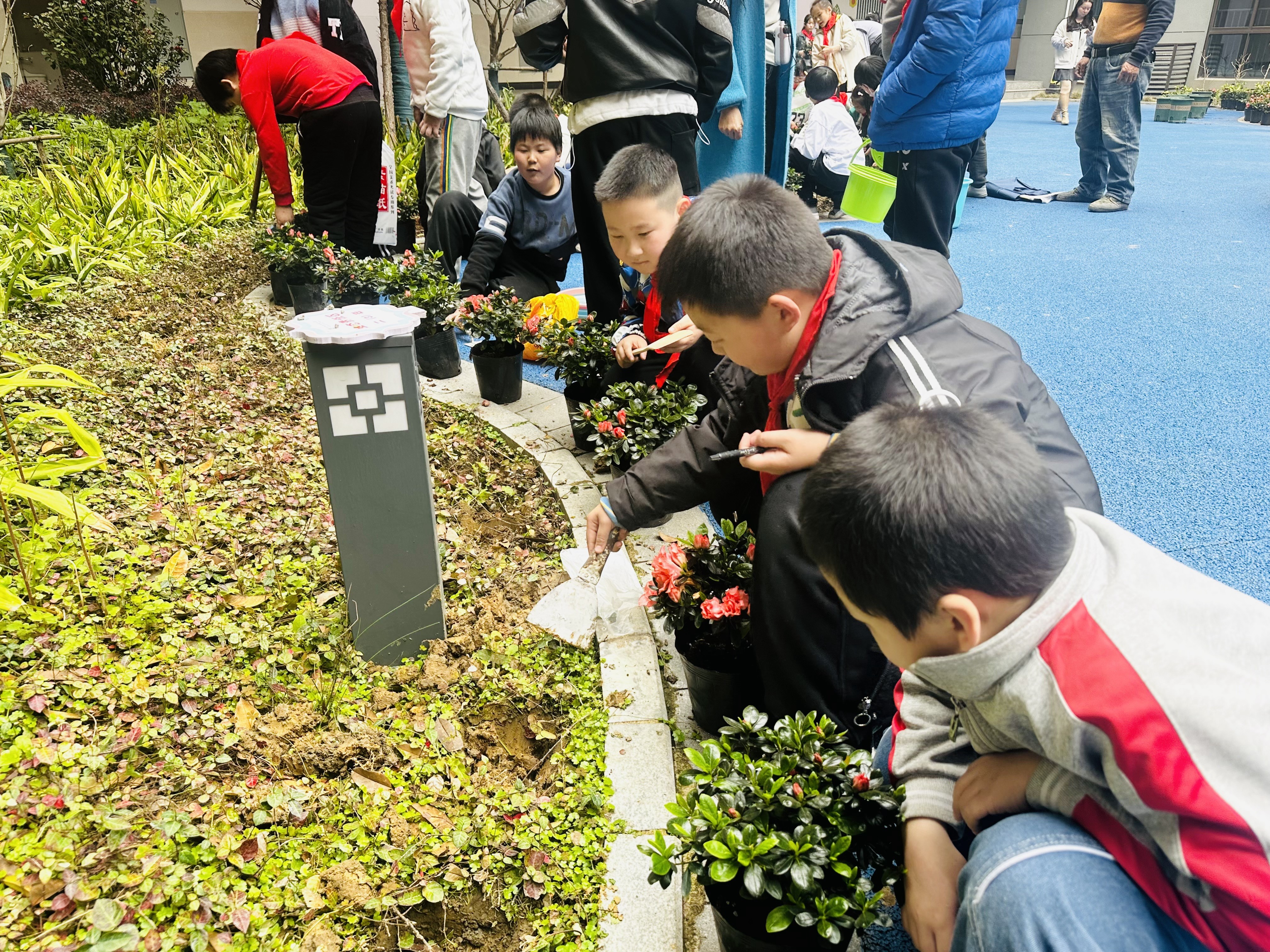 双鸭山市玉龙小学图片