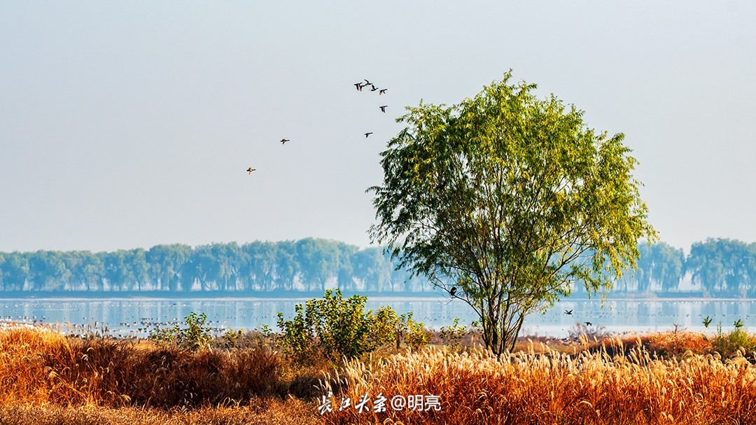 信阳东西湖风景区图片