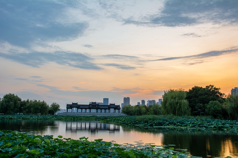 武汉沙湖(武汉沙湖旅游景点介绍)