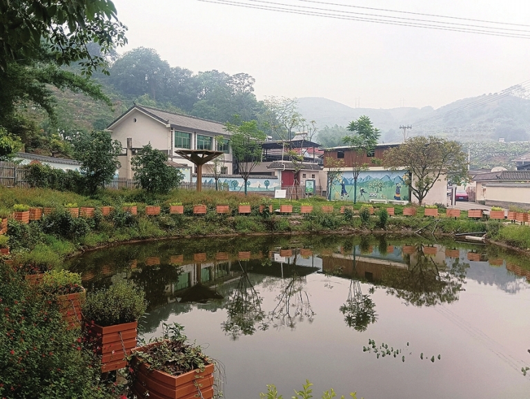 整治提升,绘就和美乡村"新图景"