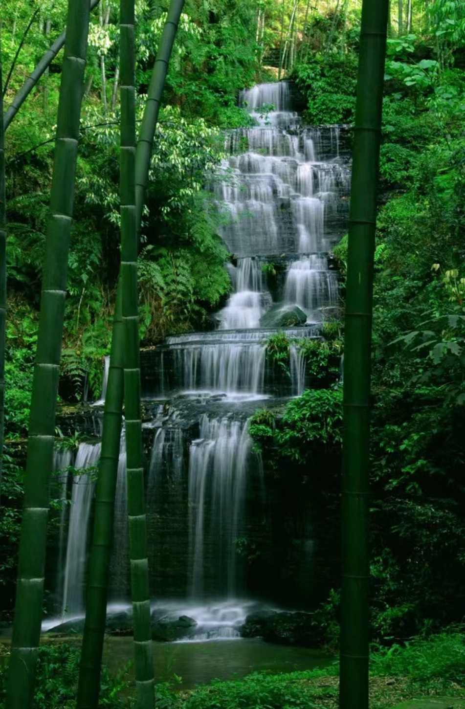 竹子照片山水风景图片