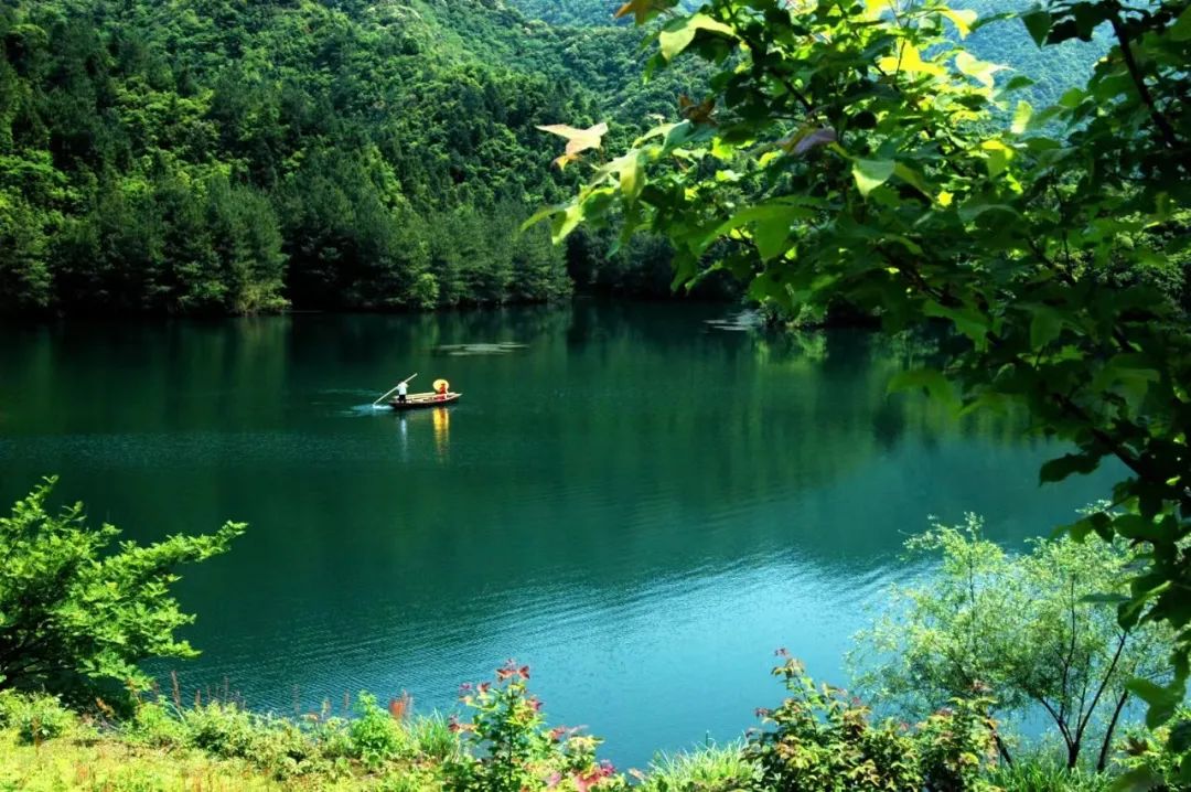 东至写在绿水青山间的生态答卷