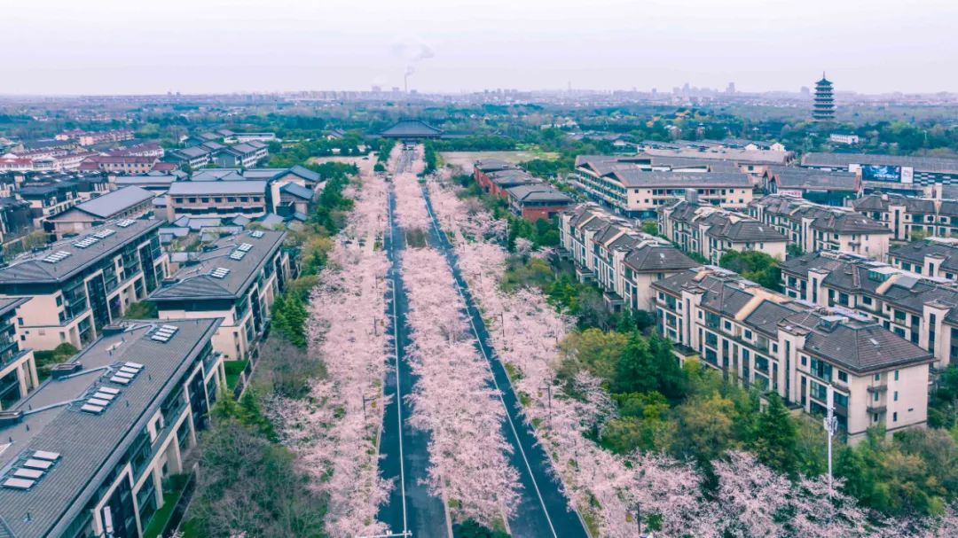 這個煙花三月，你未曾錯過！