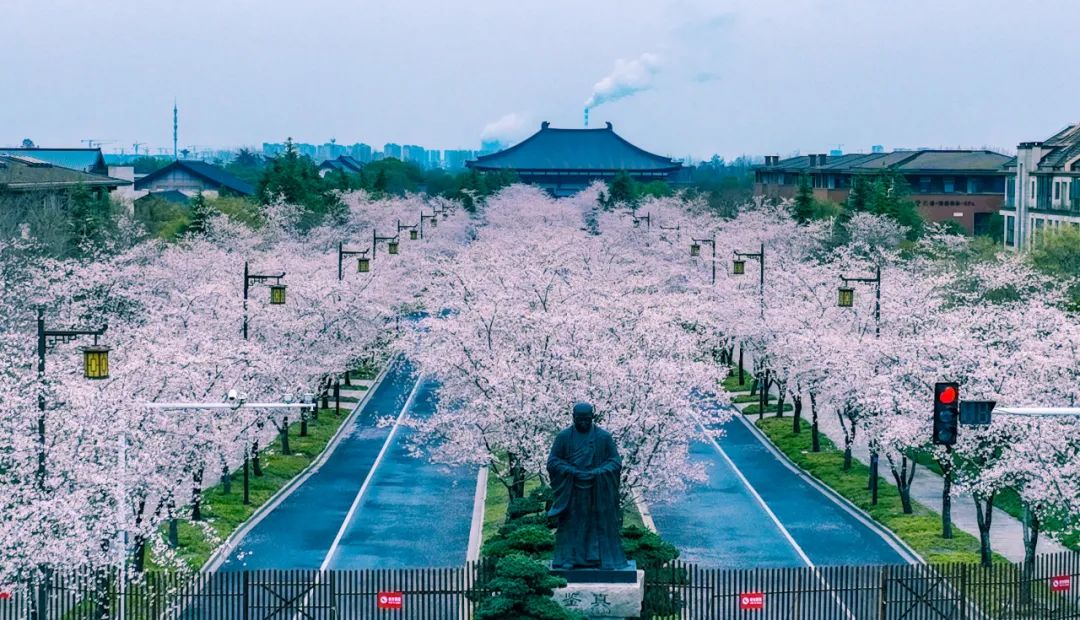 這個煙花三月，你未曾錯過！