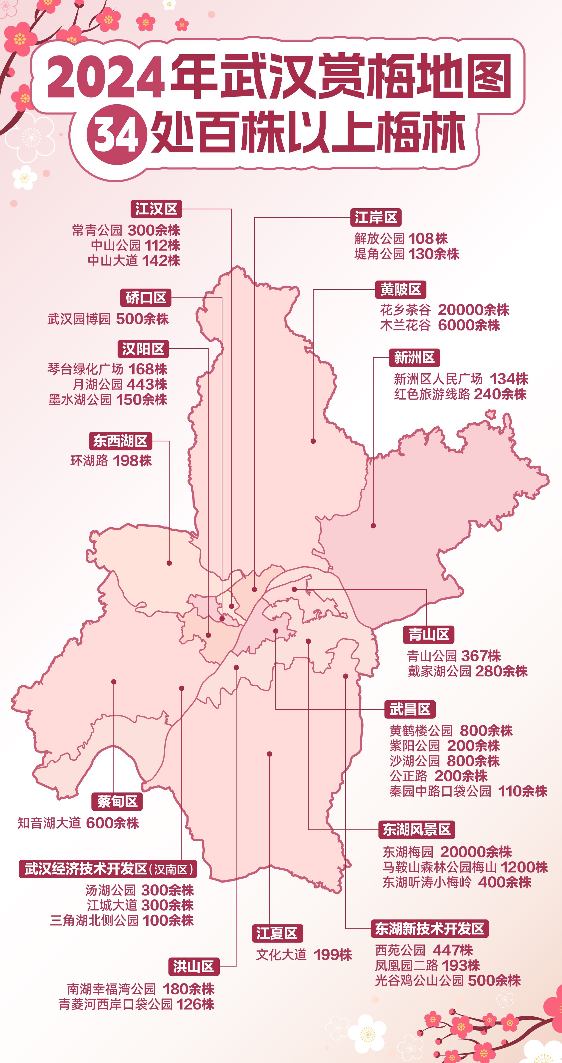 按圖尋梅武漢最新賞梅地圖出爐